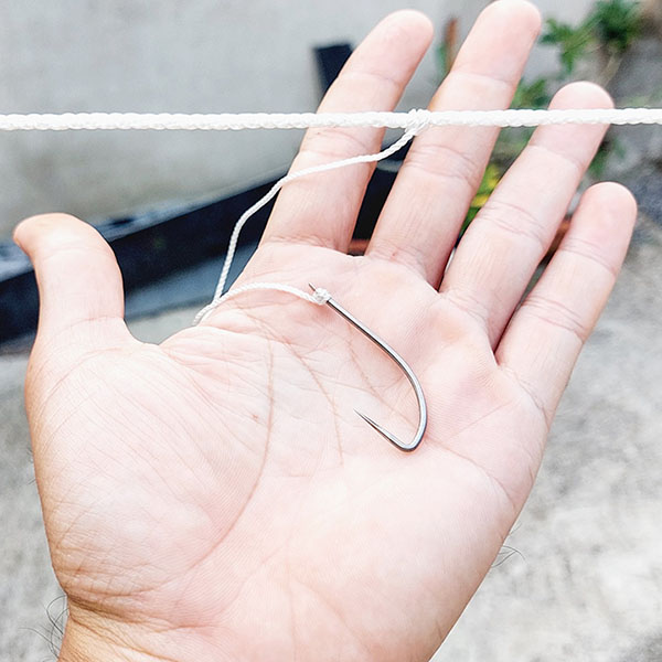 lưỡi câu kiều câu giăng cá các loại