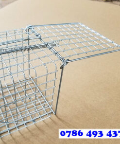 lồng bẫy sóc bông, sóc dạ đỏ