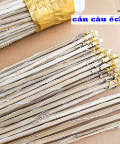 cần cắm câu ếch, câu nọc ếch