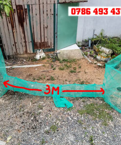 dớn bắt cá 2 đầu vào
