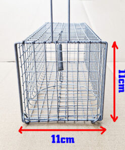 lồng bẫy chuột cống