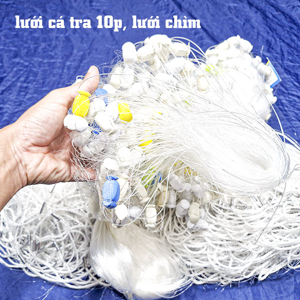 bán lưới giăng cá tra