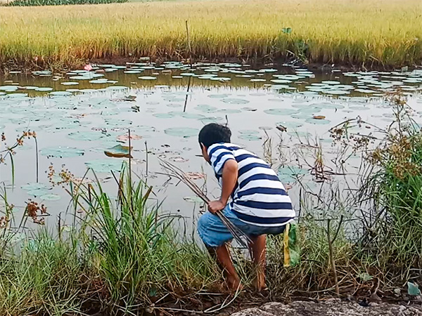 4 cách bắt cá lóc thông dụng