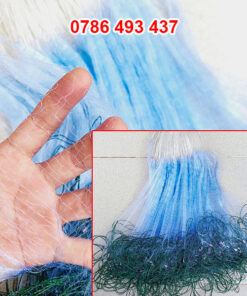 lưới cá chạch, lưới cá 1 màn