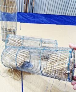 bẫy ếch 2 đầu giao hàng toàn quốc