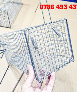 bẫy chuột cống size lớn