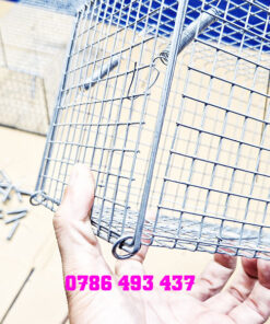 bẫy chuột cống size lớn khoen chống sẩy
