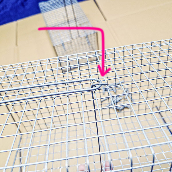 bẫy chuột cống nhum size lớn giá rẻ