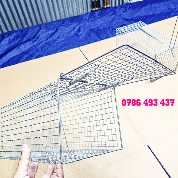 bẫy chuột cống size lớn giao hàng toàn quốc