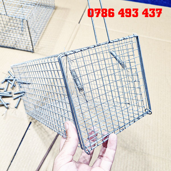 bẫy chuột cống size lớn