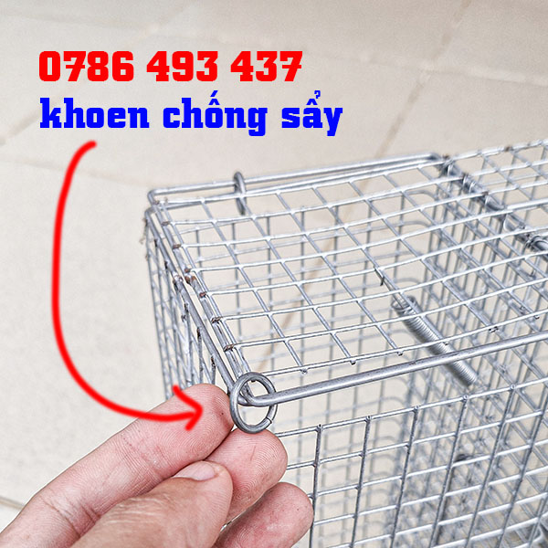 bẫy chuột cống ở Hà Nội