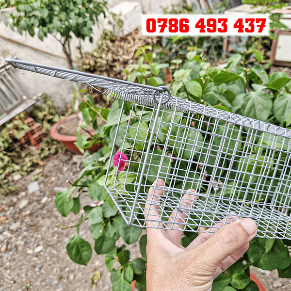 Mua bẫy chuột cống ở Hà Nội giao hàng toàn quốc