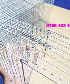 bẫy chuột cống lang giao hàng toàn quốc