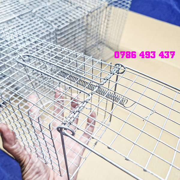 bẫy chuột cống lang giao hàng toàn quốc