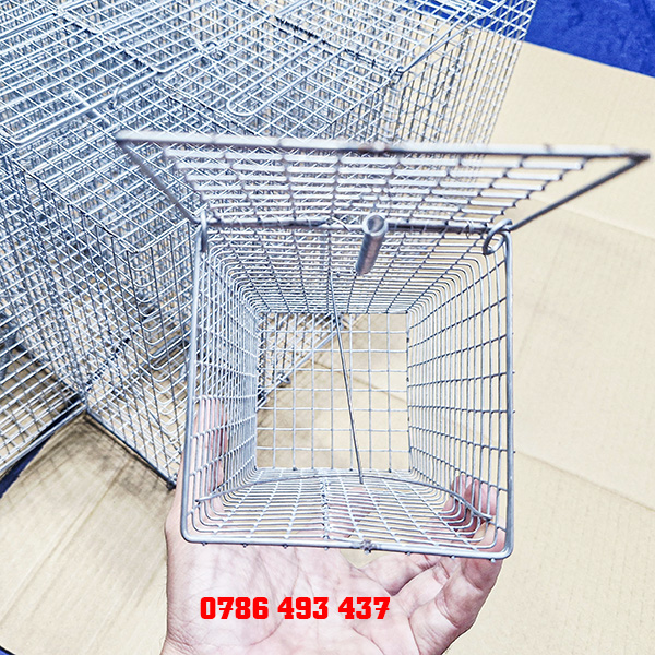 bẫy chuột cống lang giá tốt hiện nay