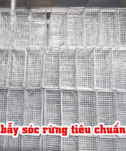 bẫy sóc rừng tiêu chuẩn giao hàng toàn quốc