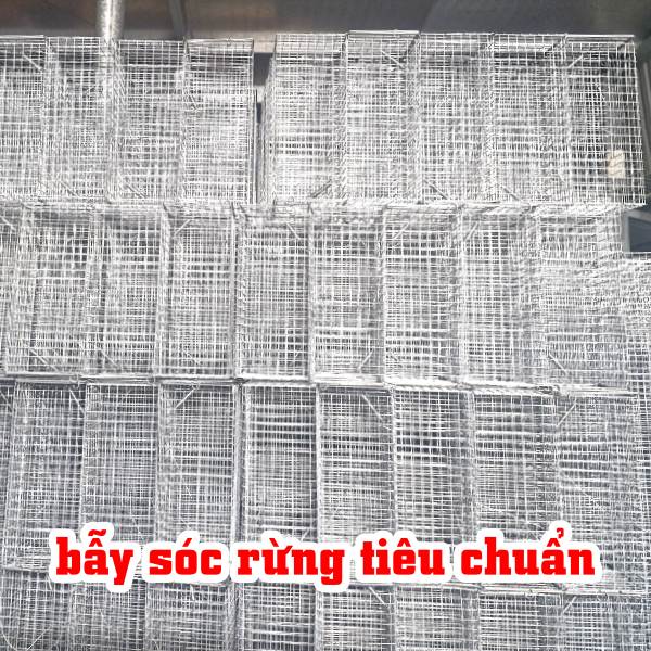 bẫy sóc rừng tiêu chuẩn giao hàng toàn quốc