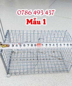 giá lồng bẫy sóc bông, sóc đất